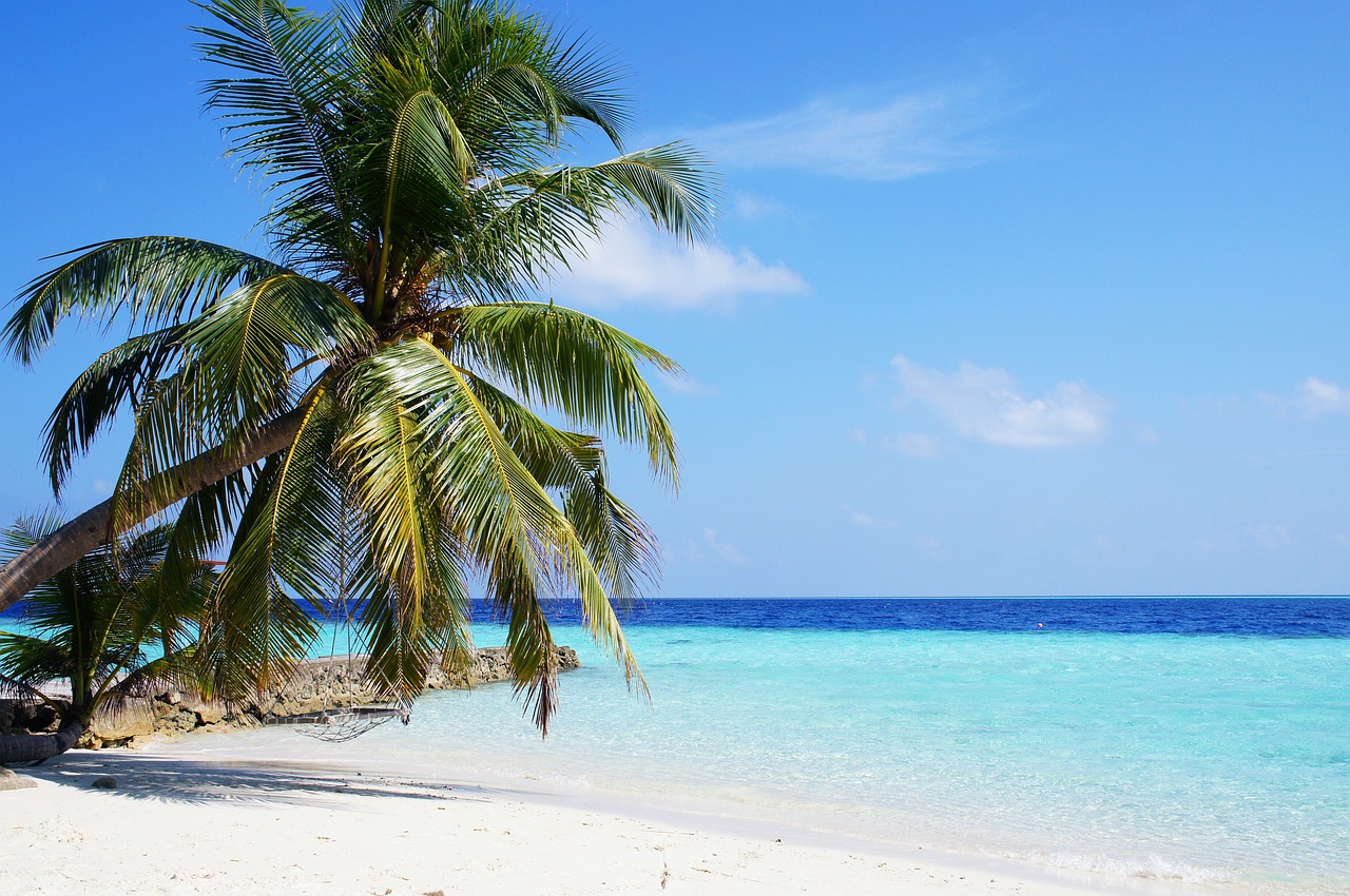 Maldives 