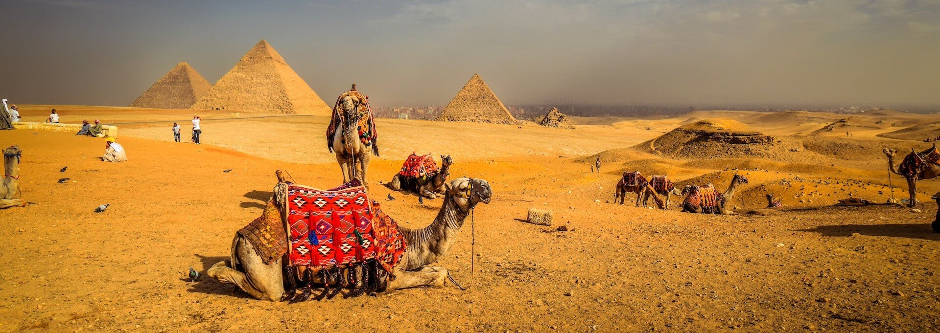 Amazing Egypt