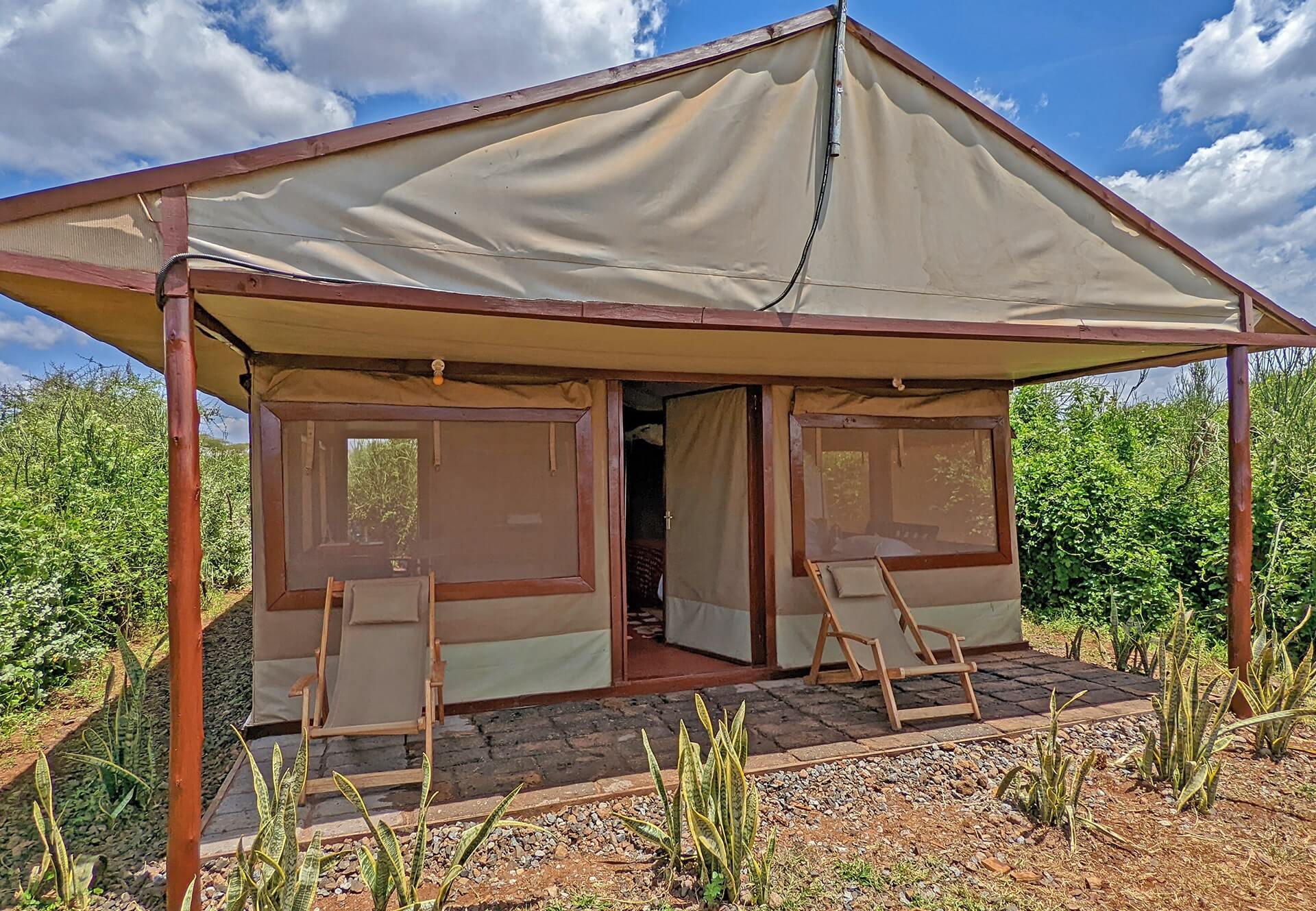 tulia amboseli 3.jpg