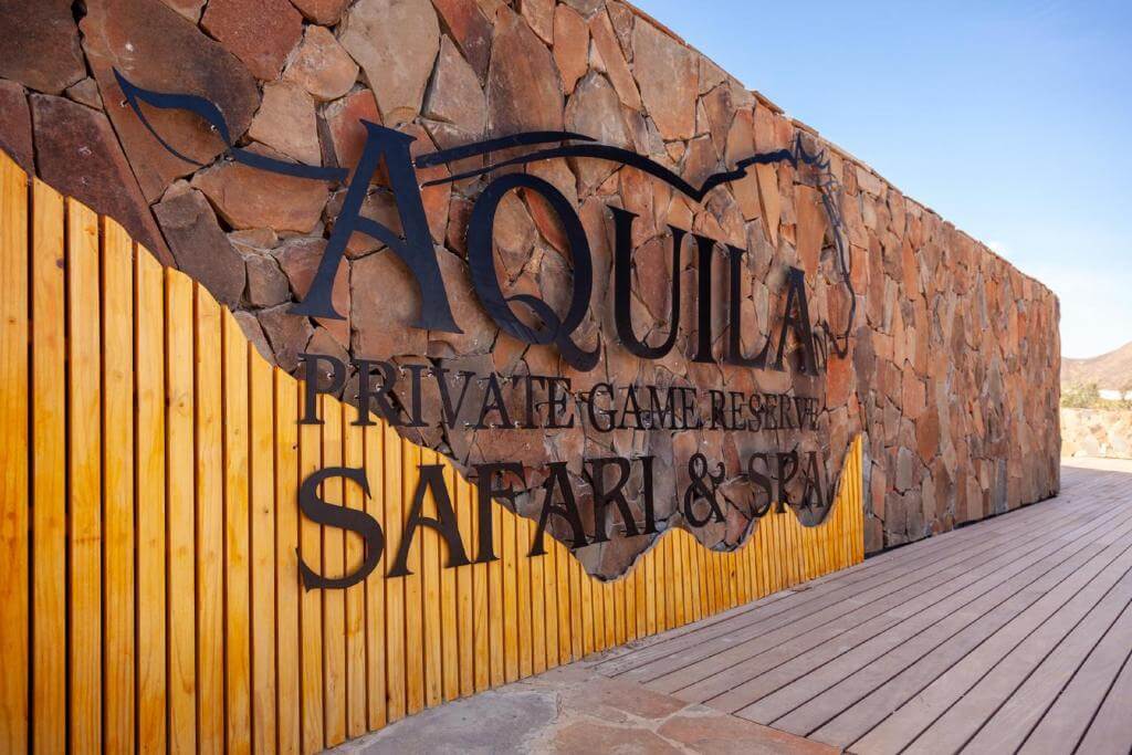 Aquila 1.jpg