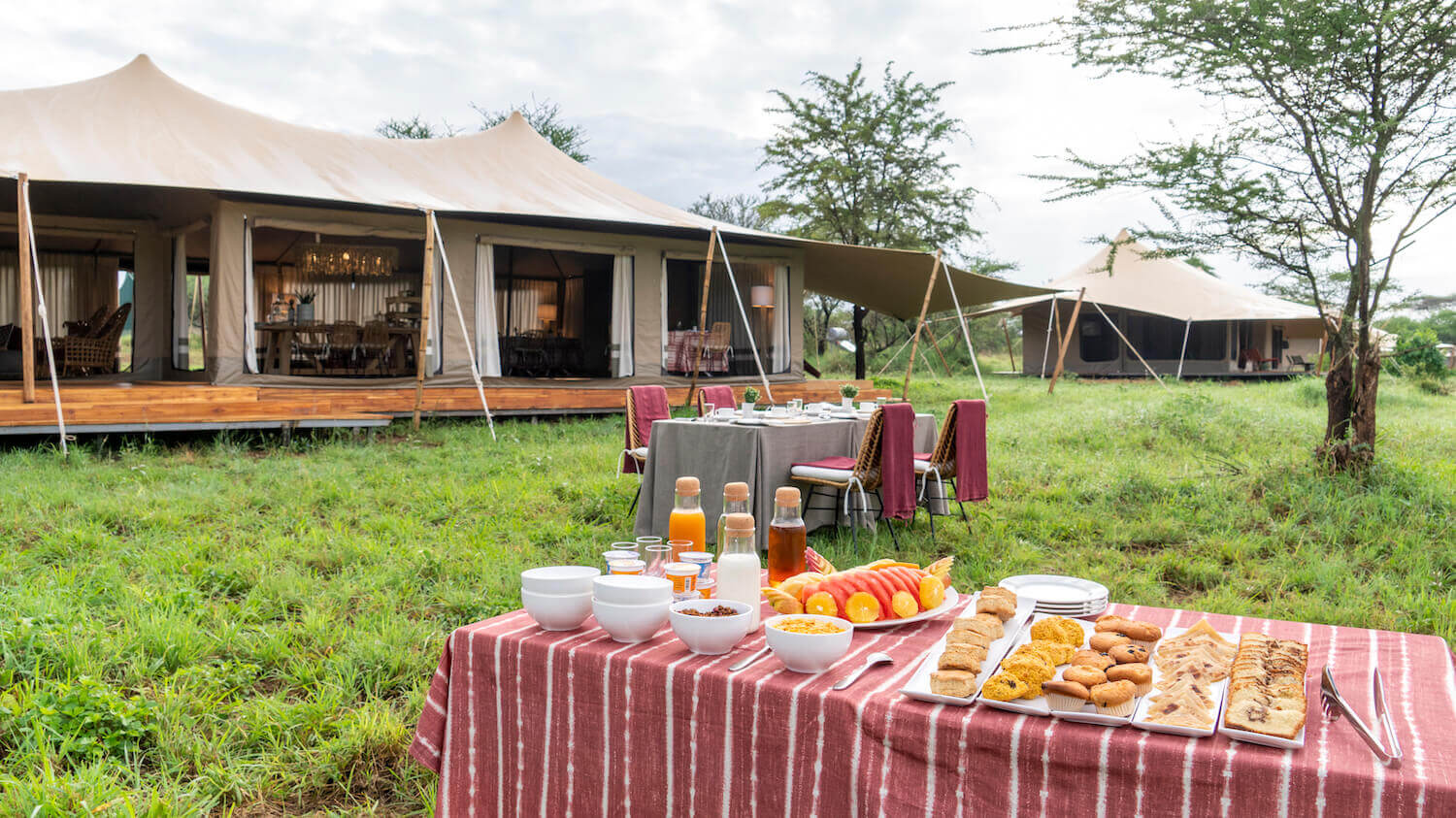 Serengeti Acacia bliss 3.jpg