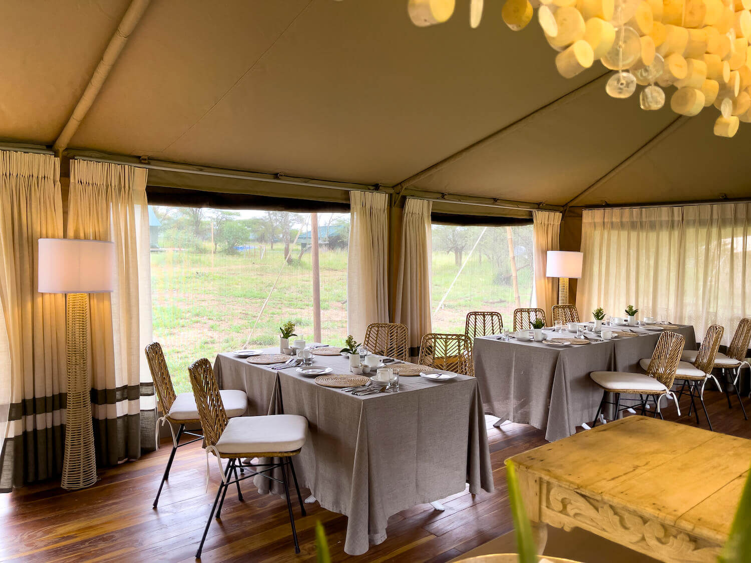 Serengeti Acacia bliss 4.jpg