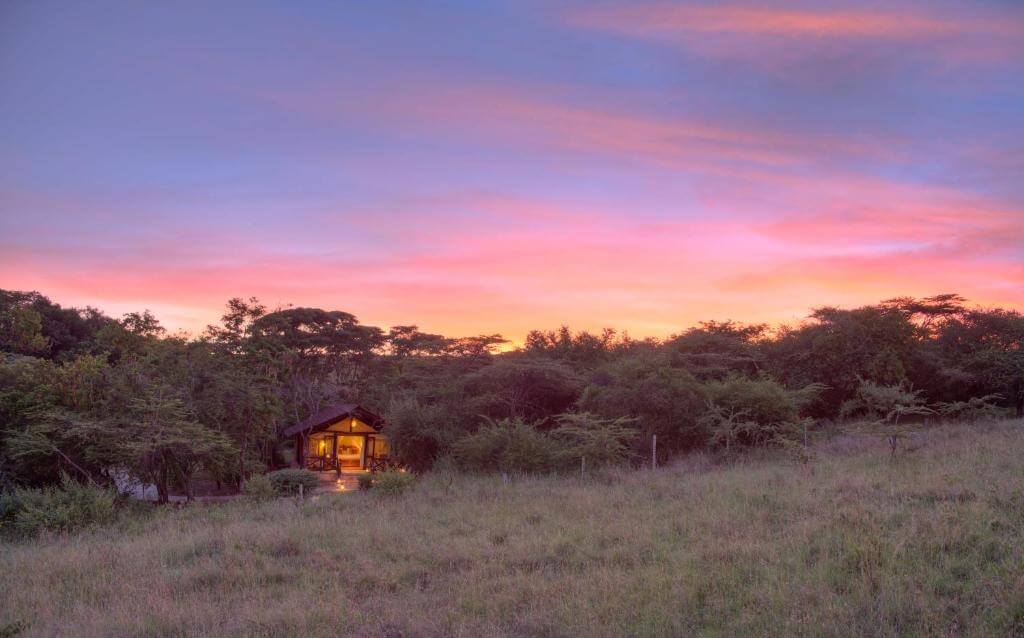 Sarova mara 4.jpg