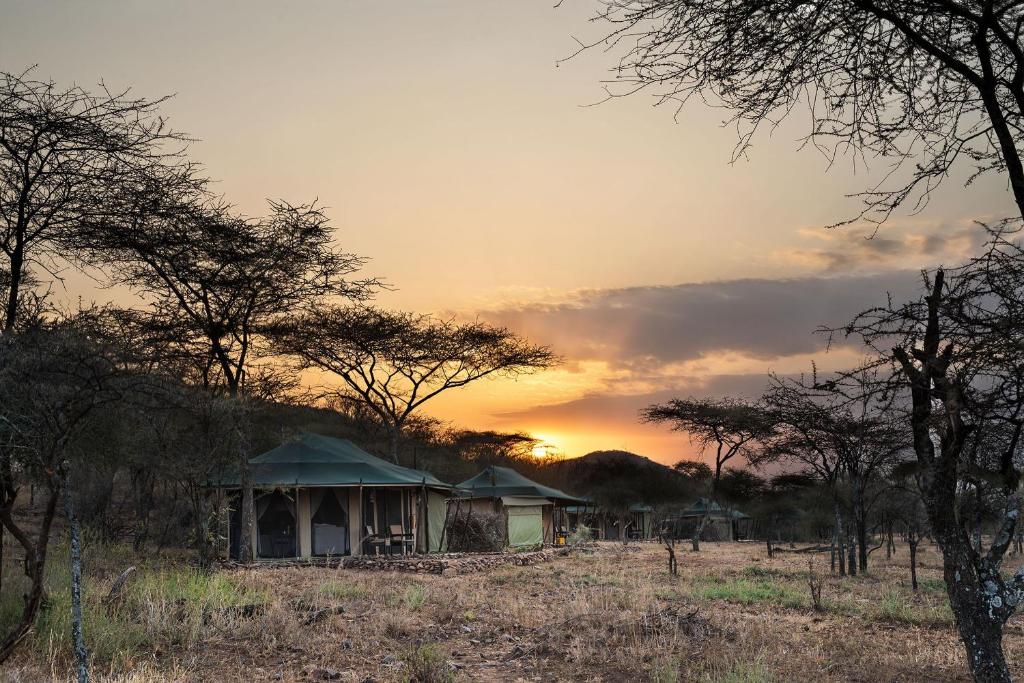 Ole Serai Luxury Camps 1.jpg