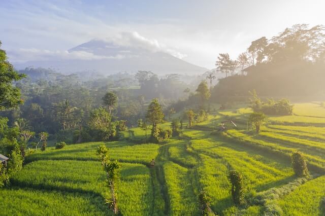 BALI10.jpg