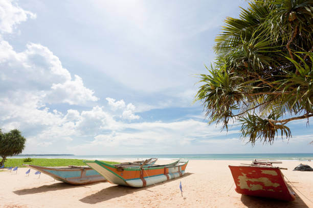 istockphoto-901614856-612x612.jpg