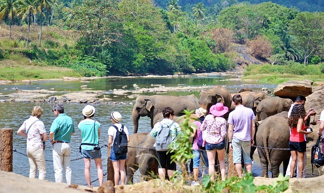 tourists-267129_640.jpg