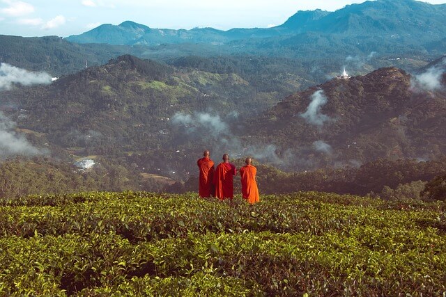 monks-5404722_640.jpg