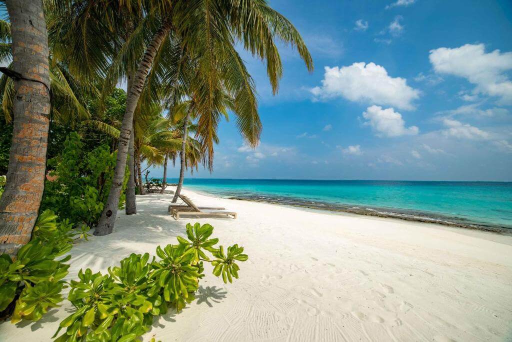 maldives hotel 1.jpg