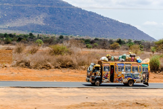 kenya-3786063_1280.jpg
