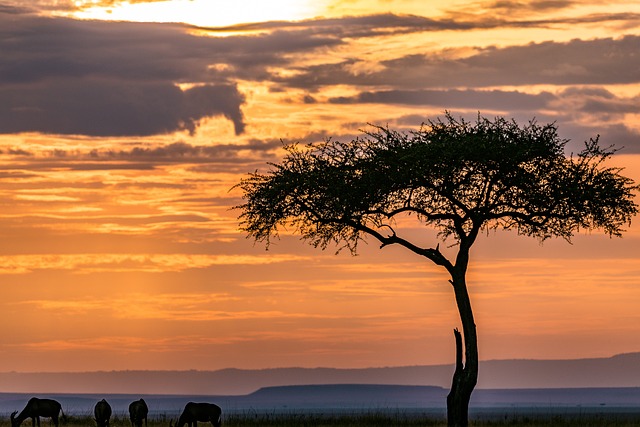 KENYA 3.jpg