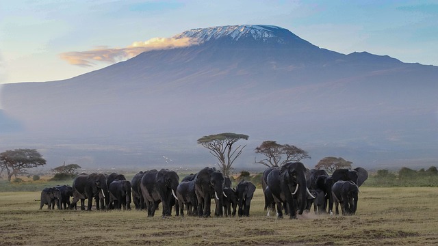 KENYA 7.jpg