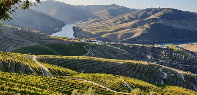 Douro valley.jpg
