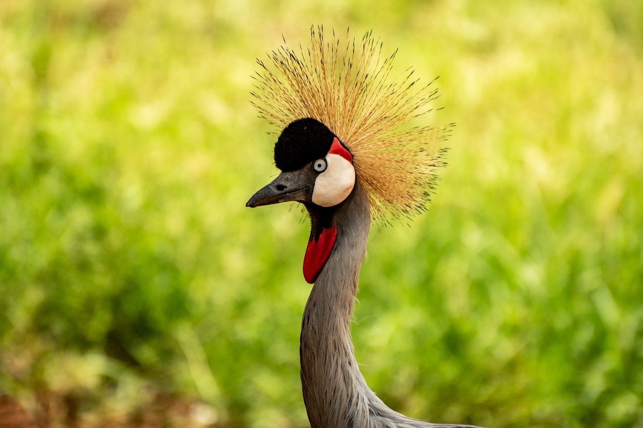 Uganda08.jpg