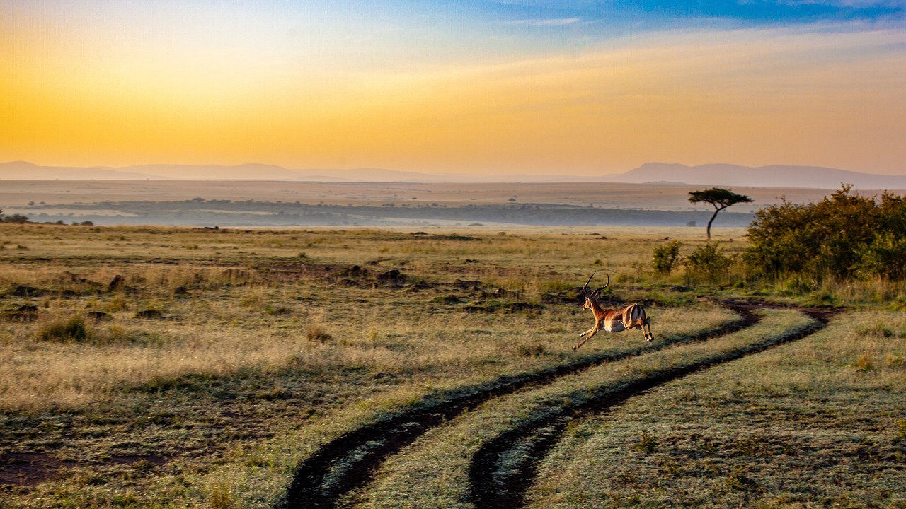 Samburu04.jpg