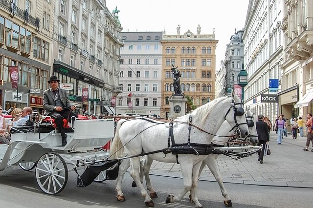 Vienna 1.jpg