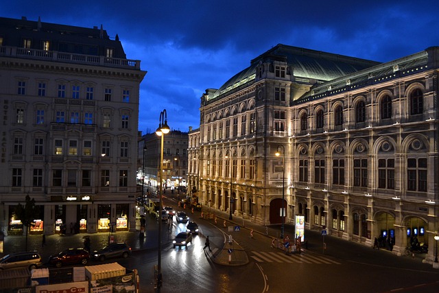 Vienna 4.jpg