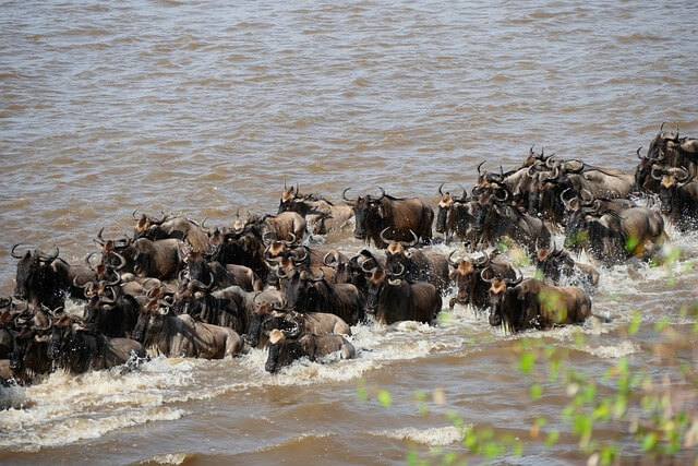 tanzania 3.jpg