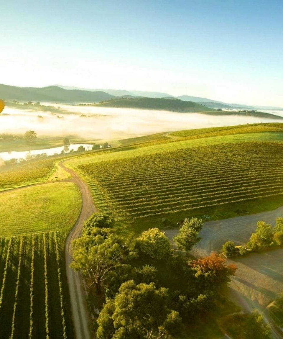 yarra valley.jpg