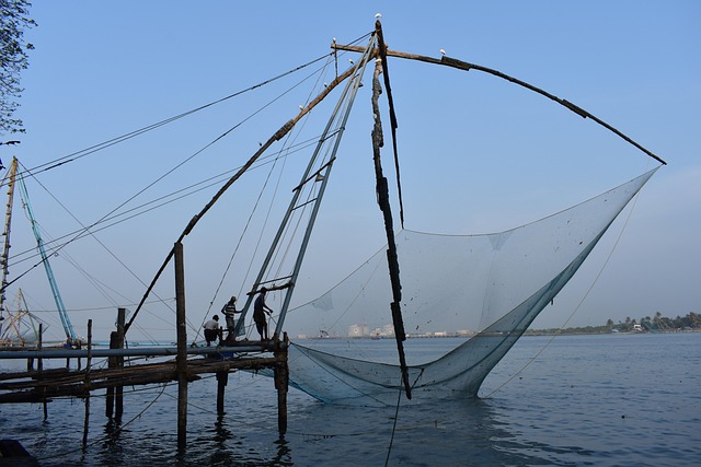 chinese-fishing-nets Kochi.jpg