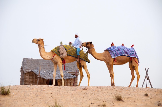 desert-639297_640.jpg