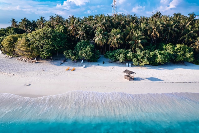 Maldives Beach View.jpg
