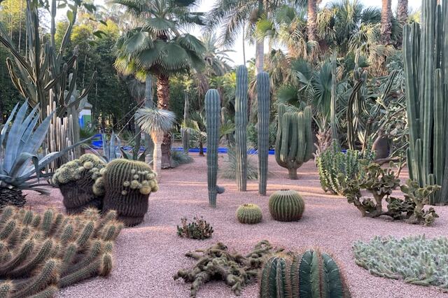 Jardin Majorelle, Marrakesh, Morocco.jpg