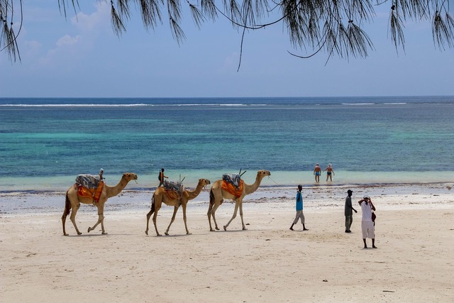 Diani beach imag.jpg