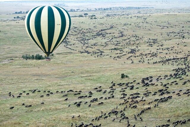 Hot Air Balloon.jpg