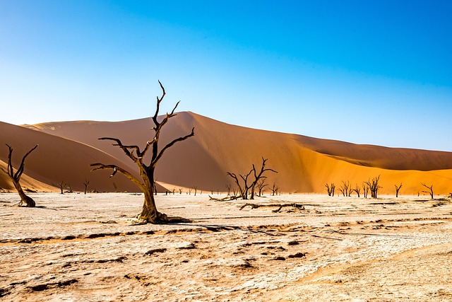 namibia-Deadvlei .jpg