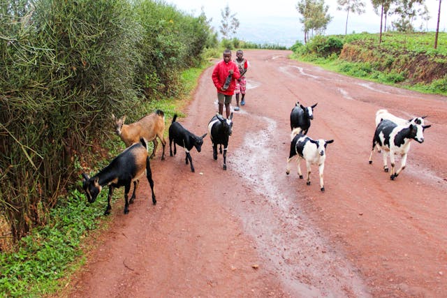 Kigali.jpg