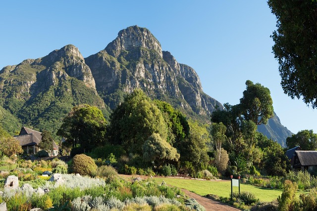 kirstenbosch-botanical-gardens-3284080_1280 (1).jpg