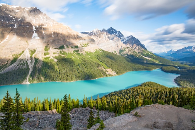 Peyto lake in Canada.jpg