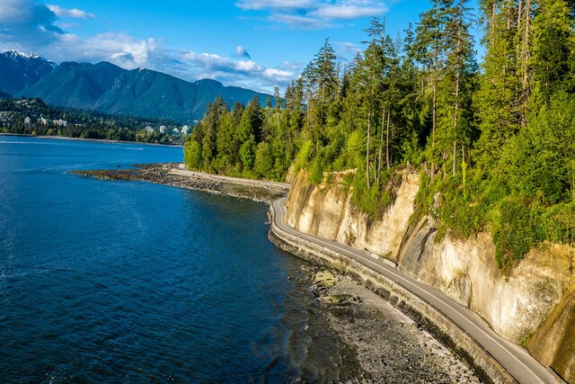 Stanley Park.jpg