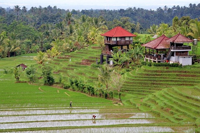 bali-3405221_640.jpg
