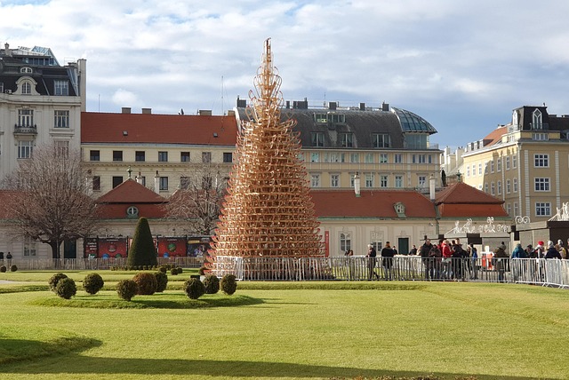 christmas-tree-4697126_640 (1).jpg