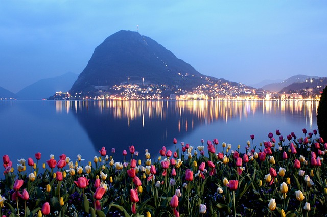 saysay75-lugano-3272123_640.jpg