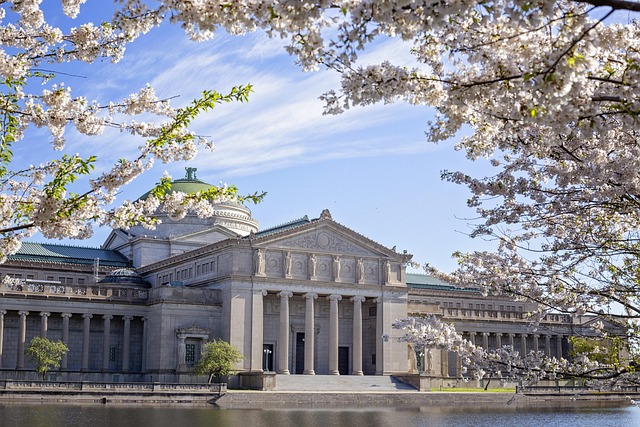 Museum of science and industry, Chicago.jpg