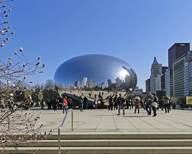 Chicago bean.jpg