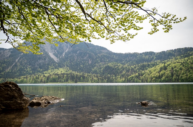 Lake Alpsee .jpg