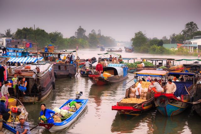 Mekong Delta.jpg
