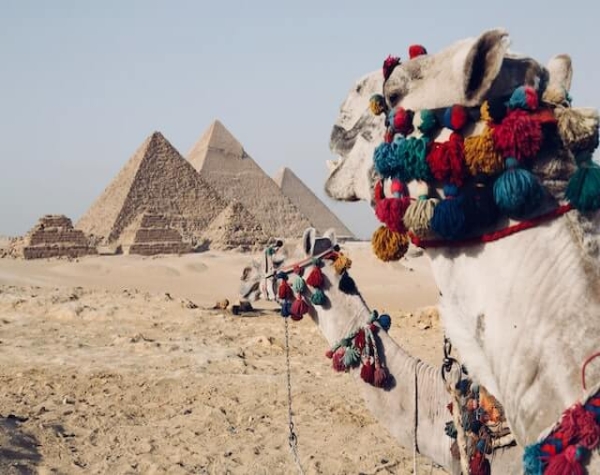 Egyptian Treasures: Pyramids and Nile