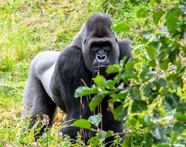 Rwanda Nature Trail