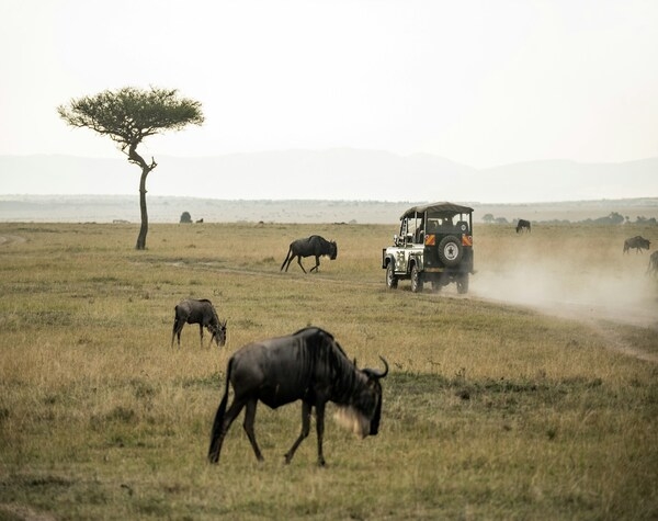 The Great African Route Maasai Mara to Cape Town