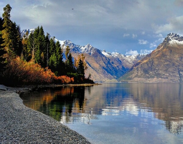 New Zealand Odyssey